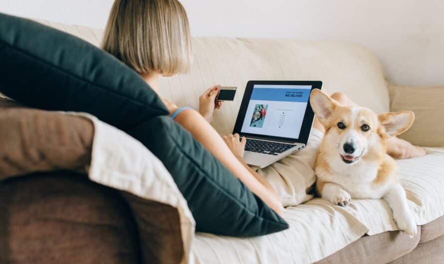 Quelle importance de la relation client pour une entreprise ?