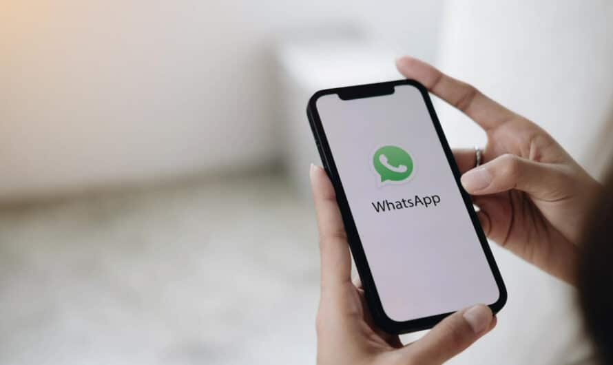How to use the WhatsApp Business chatbot API?