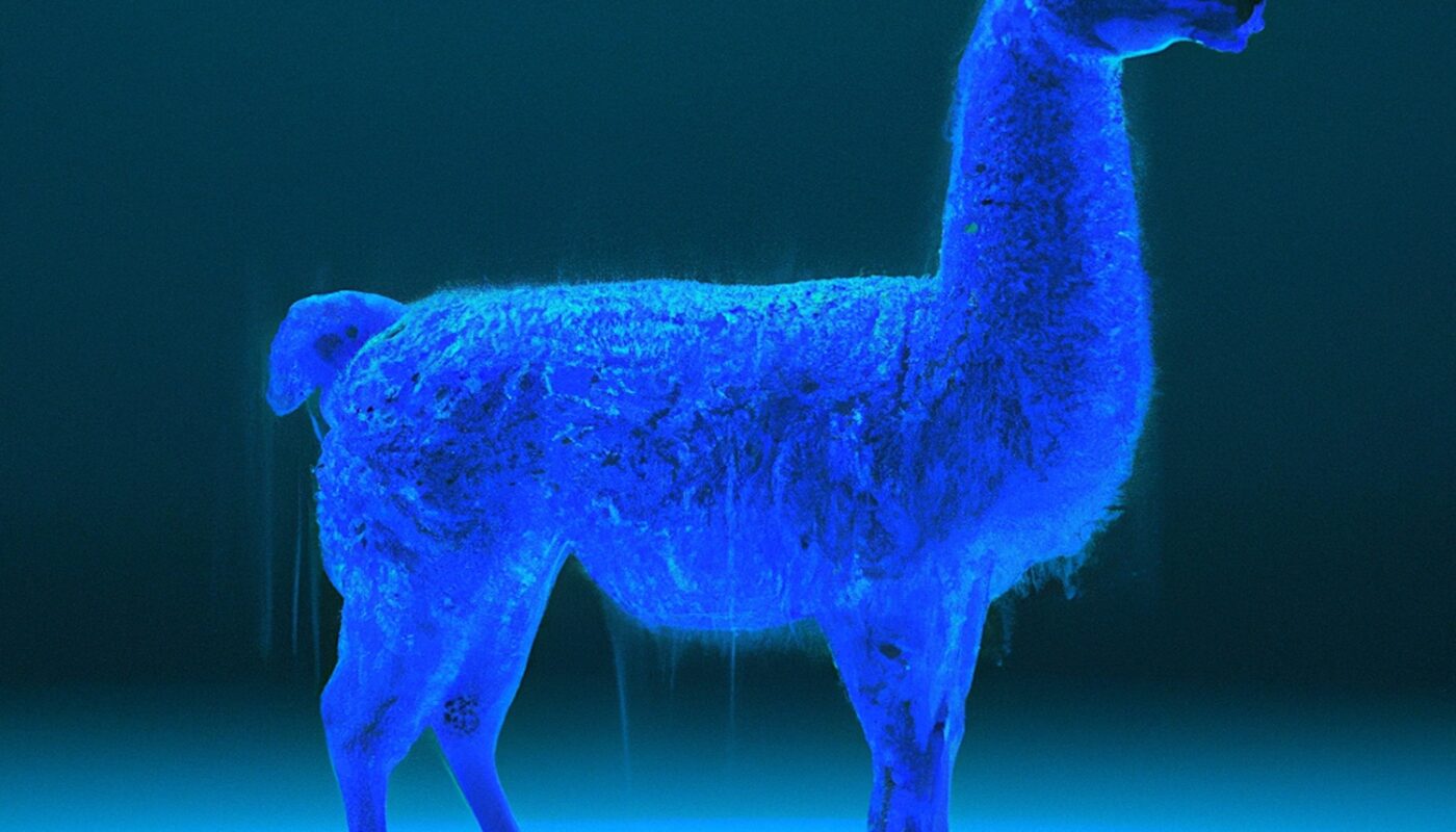 meta llama