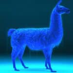 meta llama